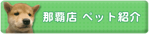 那覇店　ペット紹介
